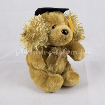 Plüss "Ballagó" Kutyus 20 cm