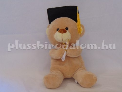 Plüss "Ballagó" Maci 18cm