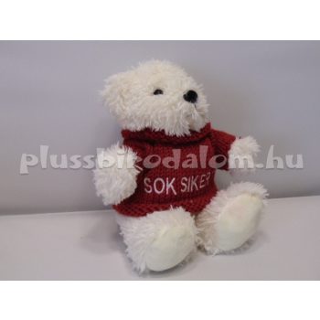 Plüss Maci "SOK SIKERT" 18 cm