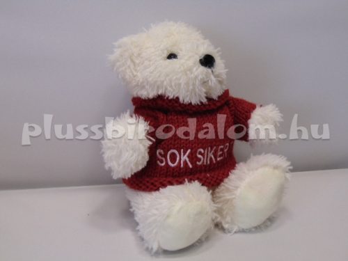 Plüss Maci "SOK SIKERT" 18 cm