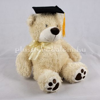 Plüss "Ballagó" Maci 27 cm